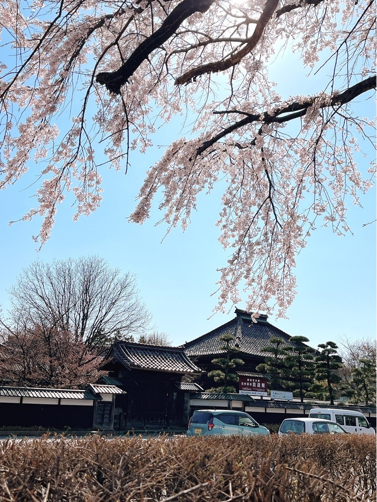 猫なぎ。さんが投稿したHOUSE清川屋（ハウスキヨカワヤ）に関する口コミの画像