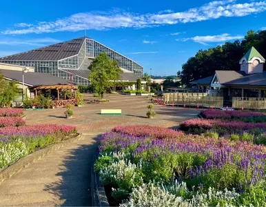 とちぎ花センター