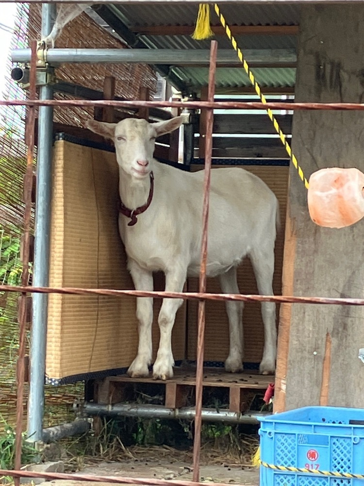 Nさんが投稿した百番珈琲に関する口コミの画像