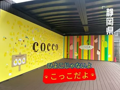 こっこ庵（【旧店名】もったいない静岡）