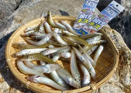 道の駅 伊良湖クリスタルポルト