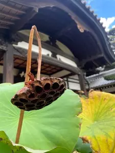 静勝寺 1枚目