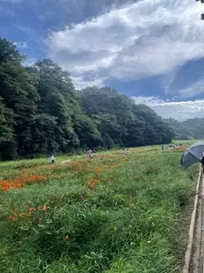 くりはま花の国ロスマリネス