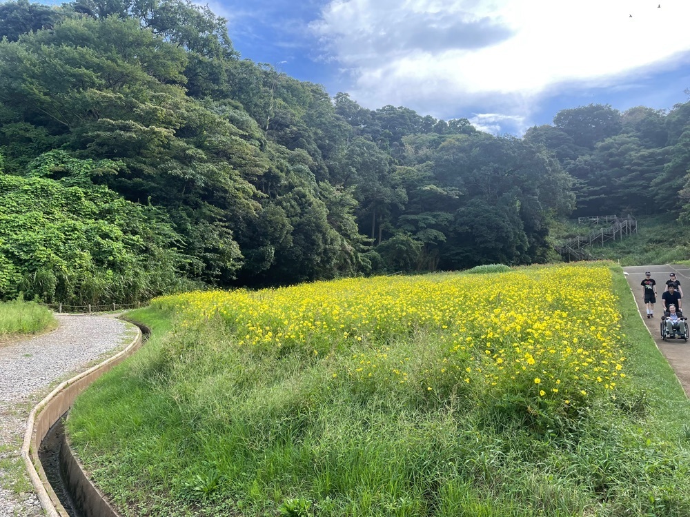 powerful_gift_4f3aさんが投稿したくりはま花の国ロスマリネスに関する口コミの画像