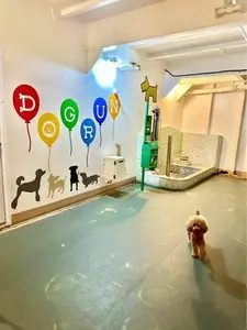 さんふらわあ