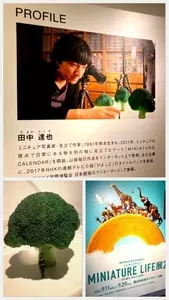 横浜高島屋