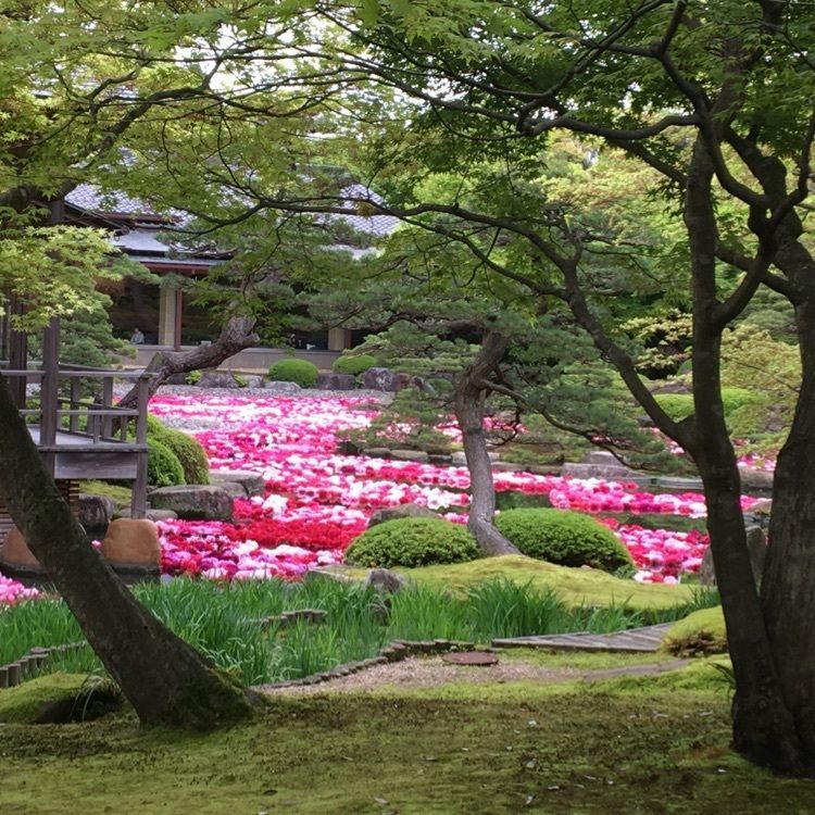 みーなさんが投稿した由志園に関する口コミの画像