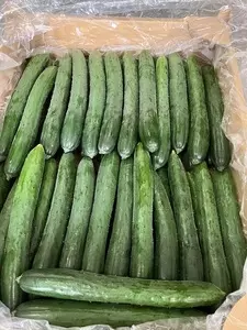 JAふえふき富士見農産物直売所