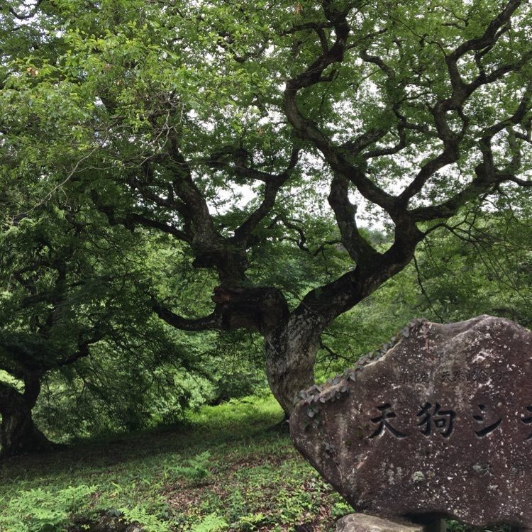 みーなさんが投稿した北広島町に関する口コミの画像
