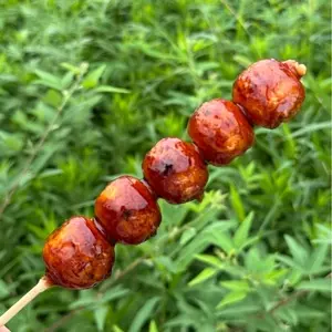 森や