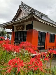 塩山桃源郷