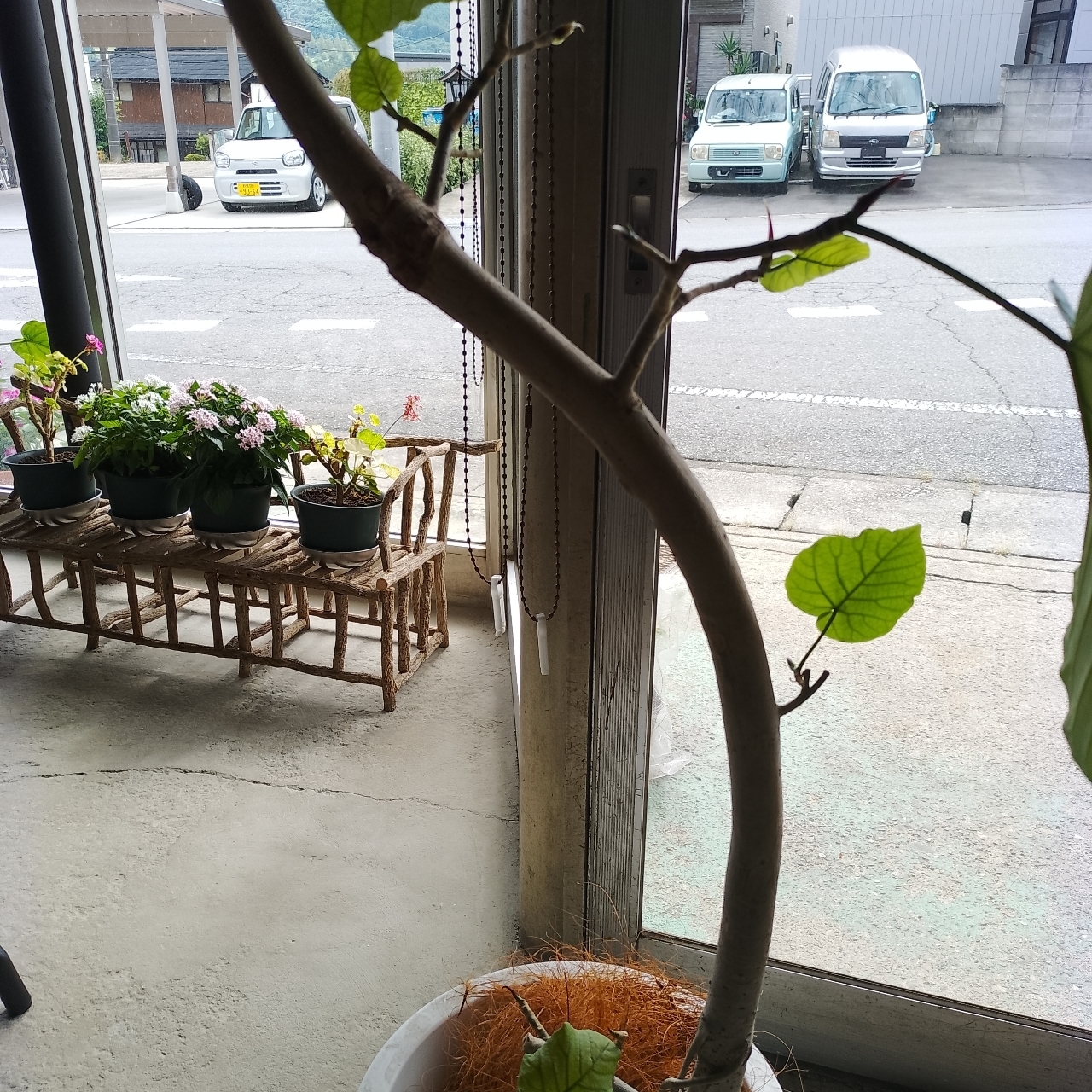 のんびりんこさんが投稿したライフパレットカフェに関する口コミの画像