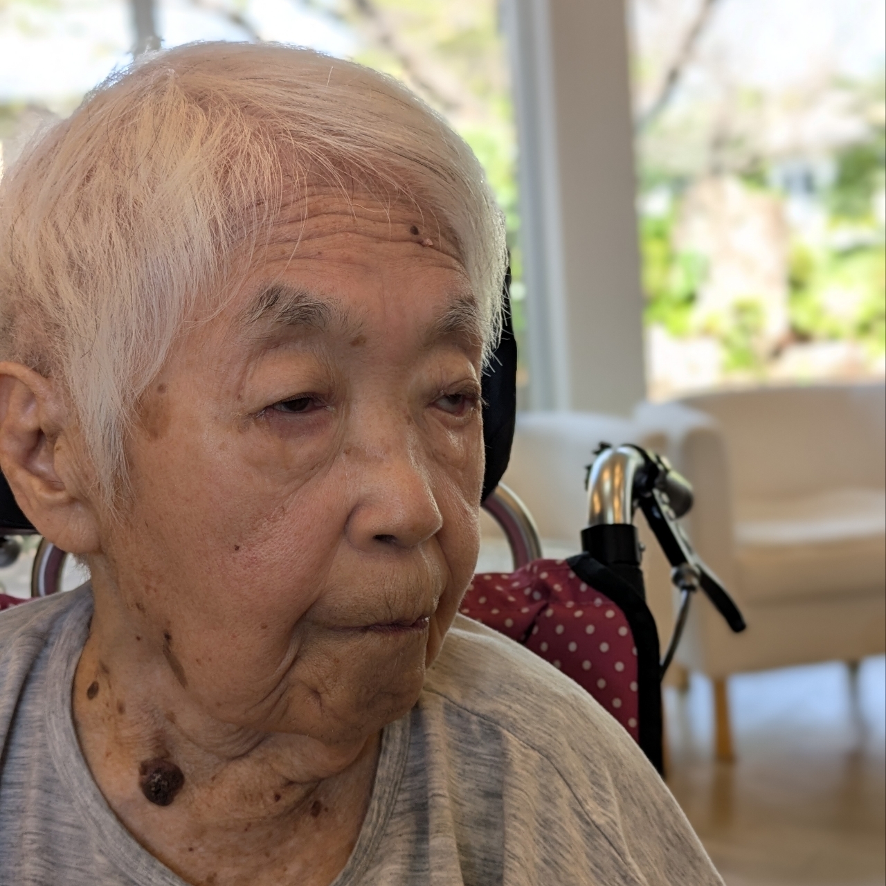 ばらっちゃんさんが投稿した泉樹庵に関する口コミの画像
