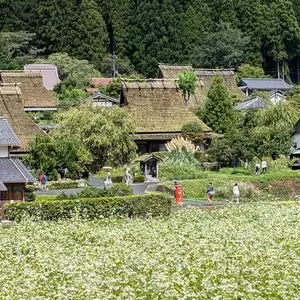 かやぶきの里