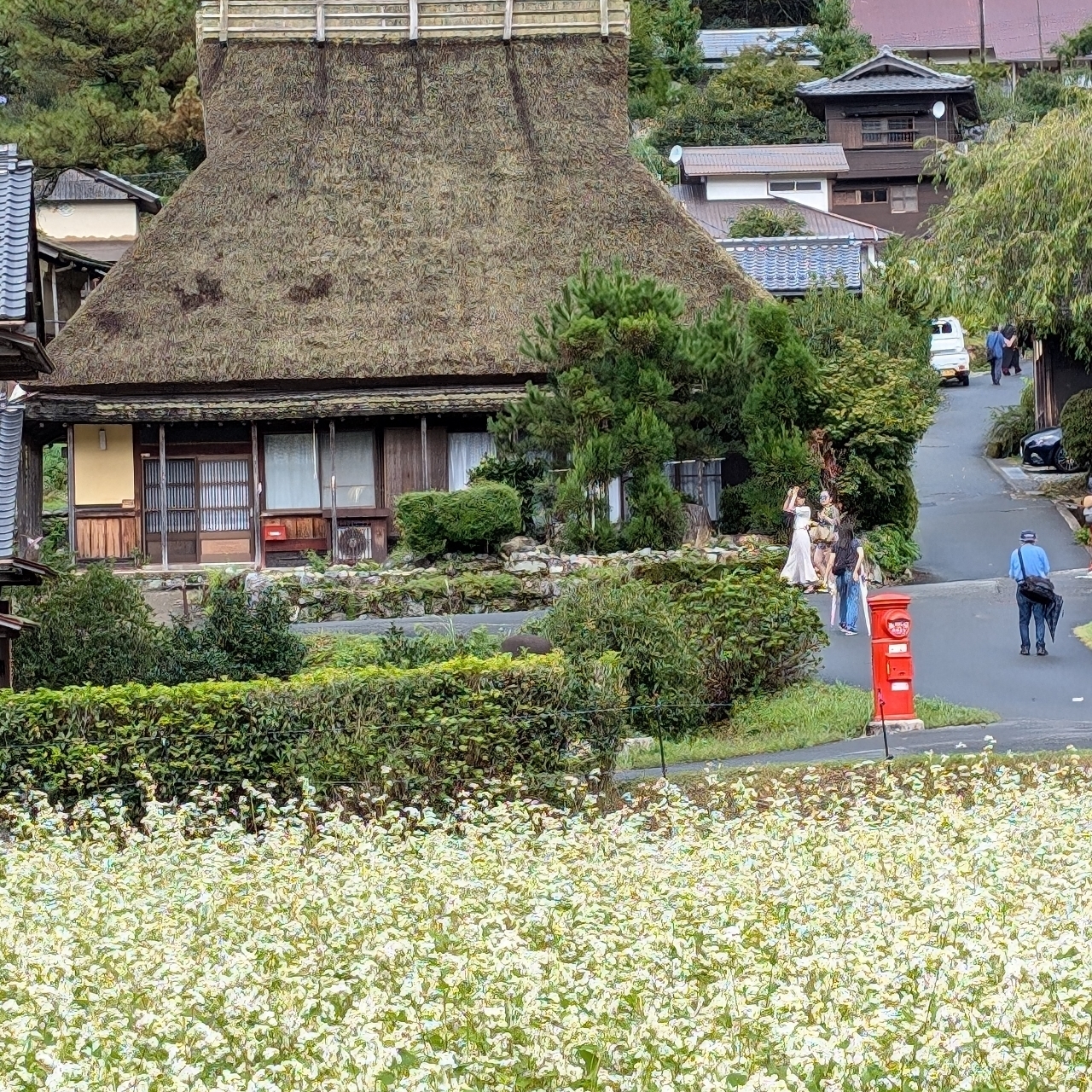 ぬっくさんが投稿したかやぶきの里に関する口コミの画像