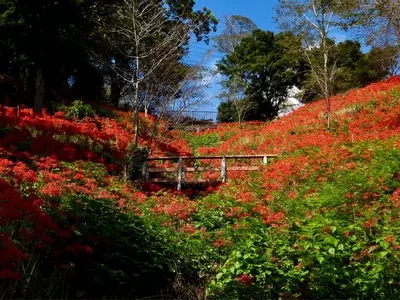城山公園（栃木県茂木町）