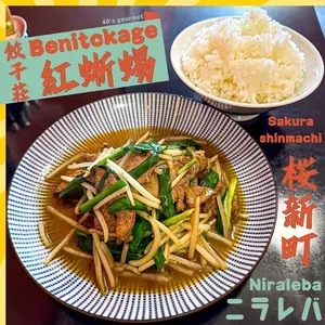 餃子荘 紅蜥蜴（ギョウザソウベニトカゲ）