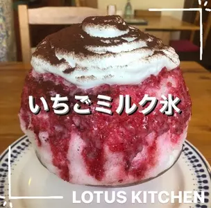 ロータスキッチン（Lotus Kitchen）