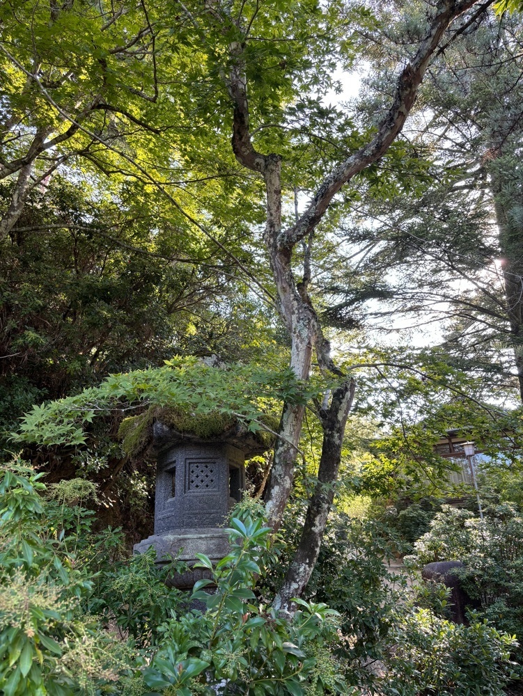 みーなさんが投稿したみやじまの宿　岩惣に関する口コミの画像