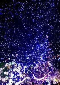 大手前通り東側歩道
