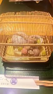 懐石料理さとし