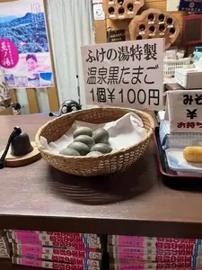 源泉秘湯の宿ふけの湯