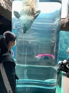ぶりっく