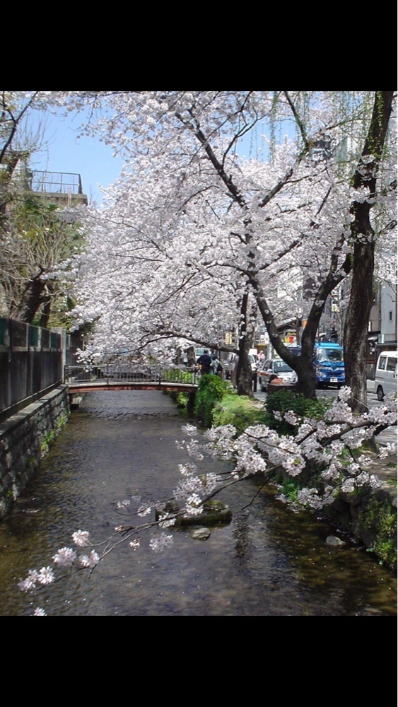 京都を巡る会・「武」さんが投稿した高瀬川（一之船入跡）に関する口コミの画像