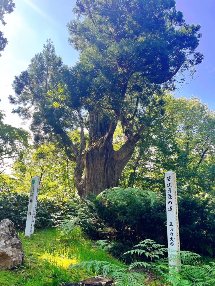 猫なぎ。さんが投稿した高梨神社に関する口コミの画像
