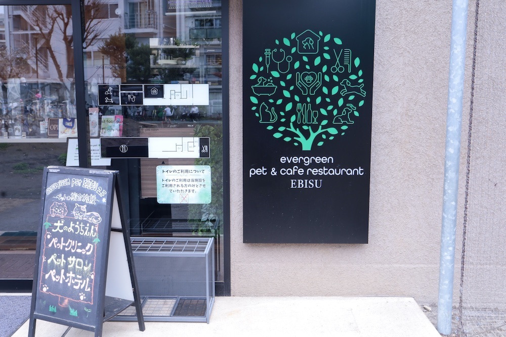さくらいまさゆきさんが投稿したevergreen cafe restaurant EBISU（エヴァーグリーンカフェレストラン 恵比寿）に関する口コミの画像