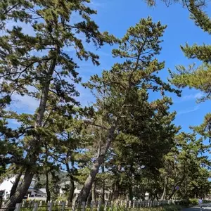 天平ホテル