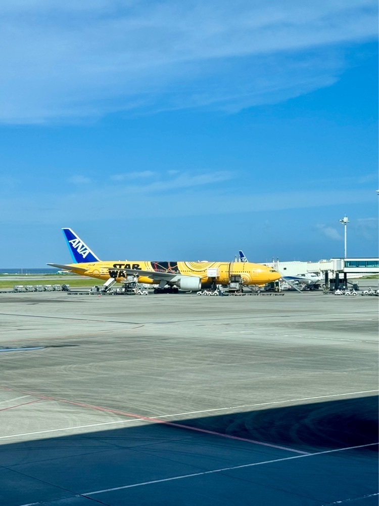 nico☺︎さんが投稿したJAL PLAZA FLIGHT SHOP（ジャルプラザ フライトショップ【旧店名】ブルースカイ フライトショップ）に関する口コミの画像