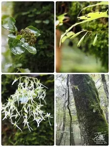 宝永山荘