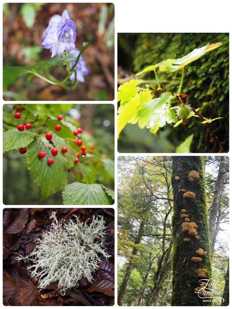Howl Monさんが投稿した宝永山荘に関する口コミの画像