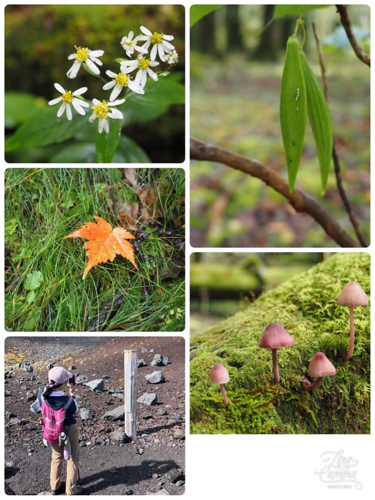 Howl Monさんが投稿した宝永山荘に関する口コミの画像