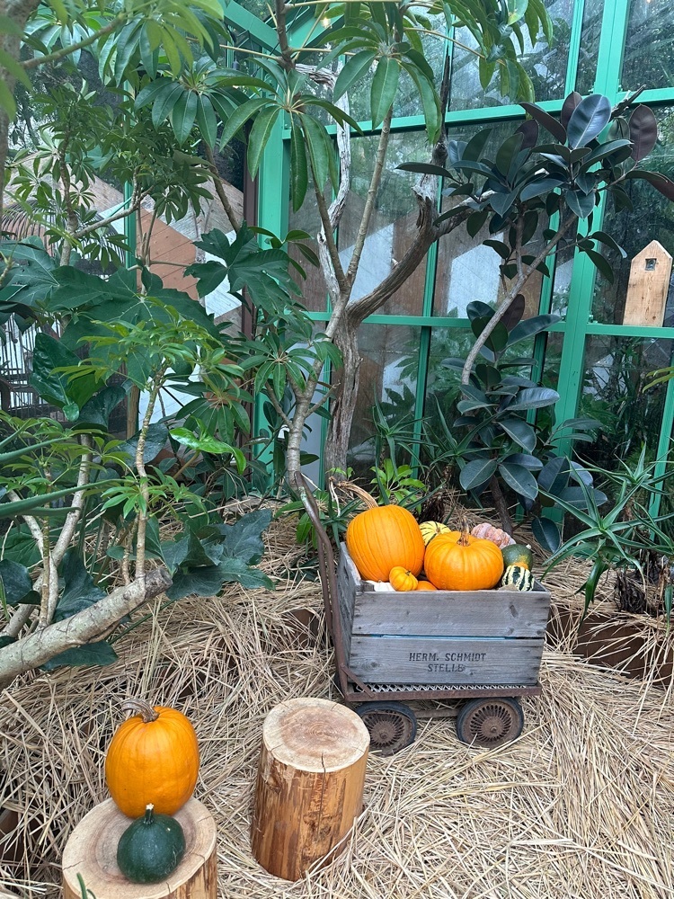 iamMAI83さんが投稿したSOLSO FARM（ソルソファーム）に関する口コミの画像