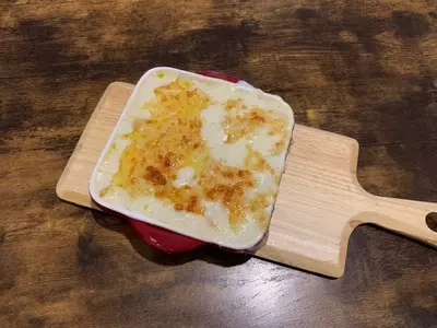 源正寺のイヌツゲ