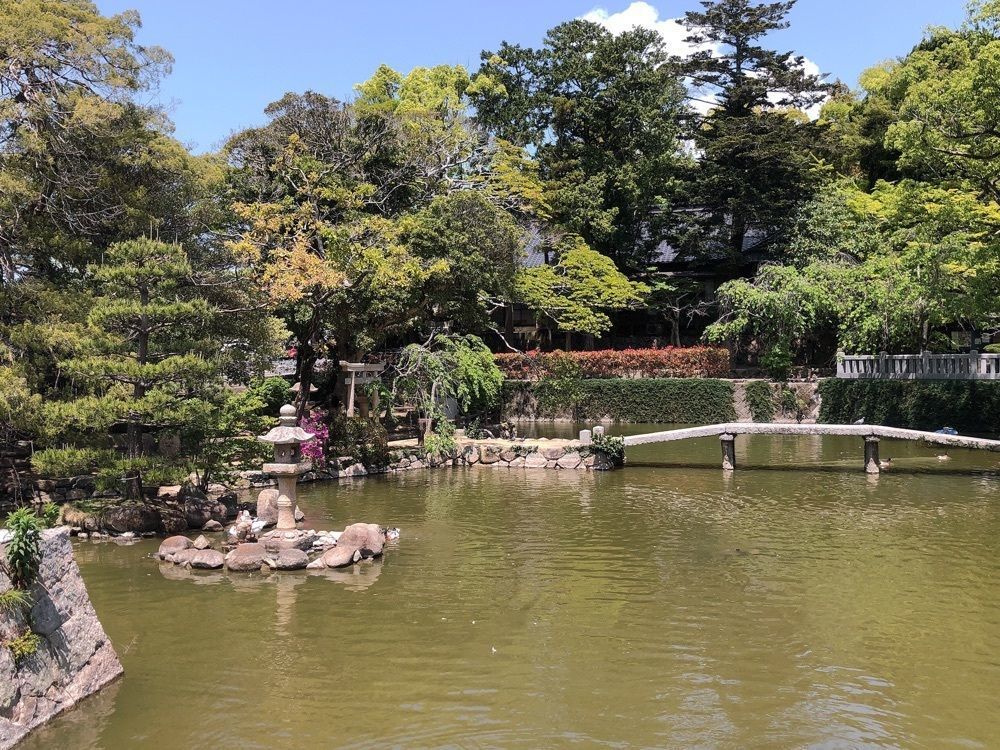 mimiさんが投稿した住吉神社に関する口コミの画像