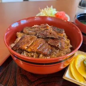 うなぎのかとう