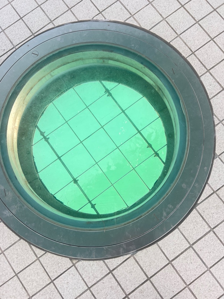 r_Rhapsodyさんが投稿した西海橋に関する口コミの画像