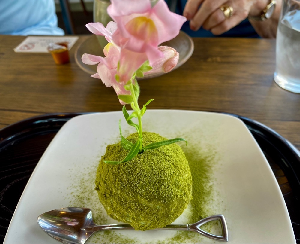calm_gift_1030さんが投稿したボンサイ カフェ（Bonsai Cafe）に関する口コミの画像