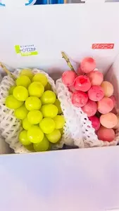 金珠園
