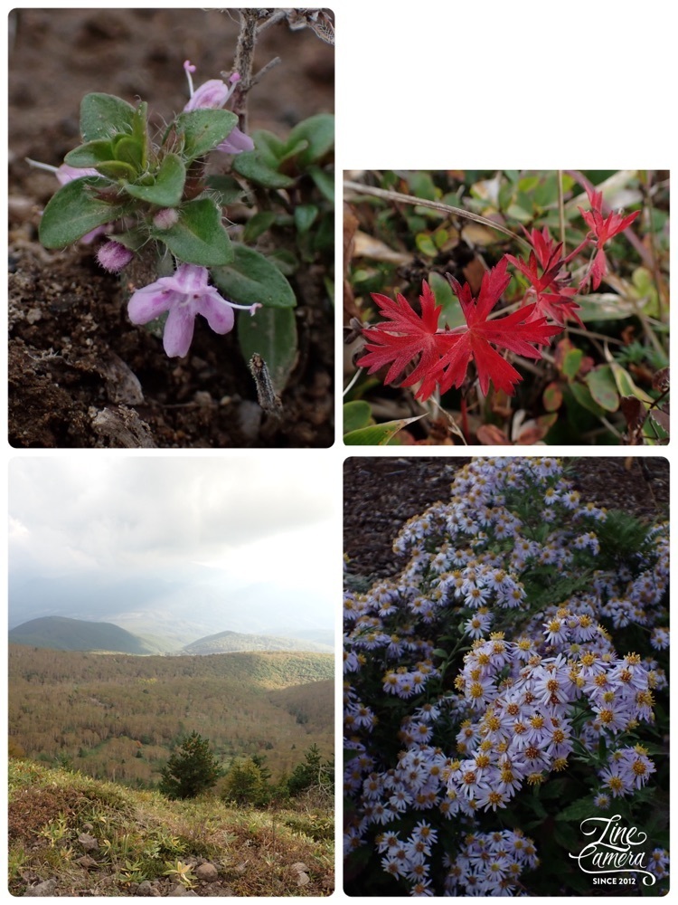 Howl Monさんが投稿した四阿山に関する口コミの画像