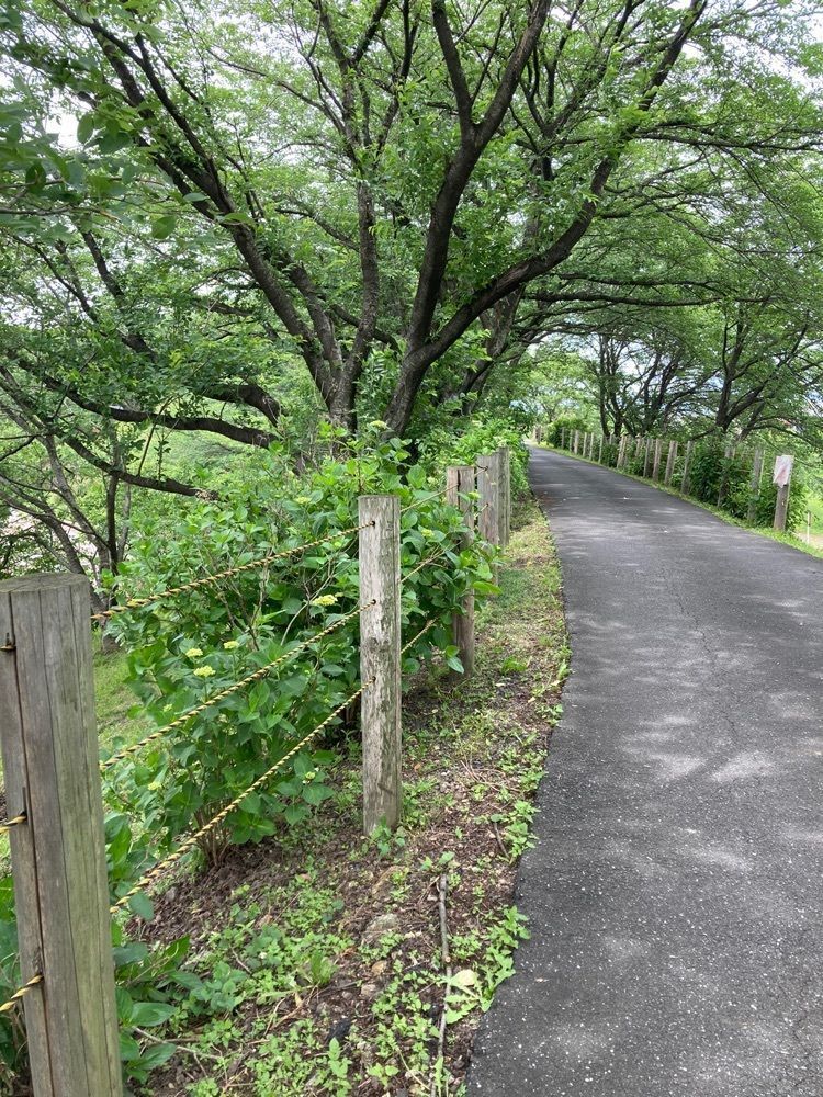 ply さんが投稿した輪之内町に関する口コミの画像