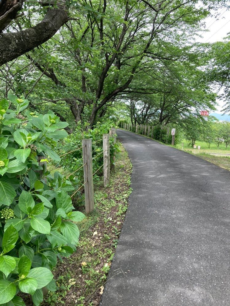ply さんが投稿した輪之内町に関する口コミの画像