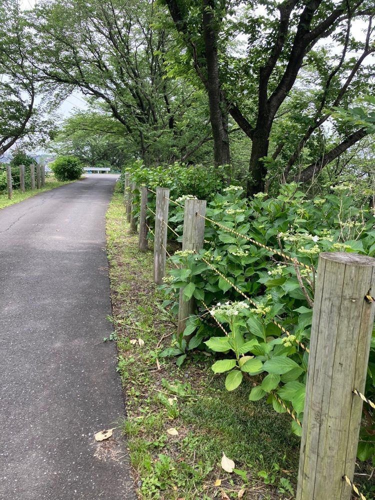 ply さんが投稿した輪之内町に関する口コミの画像