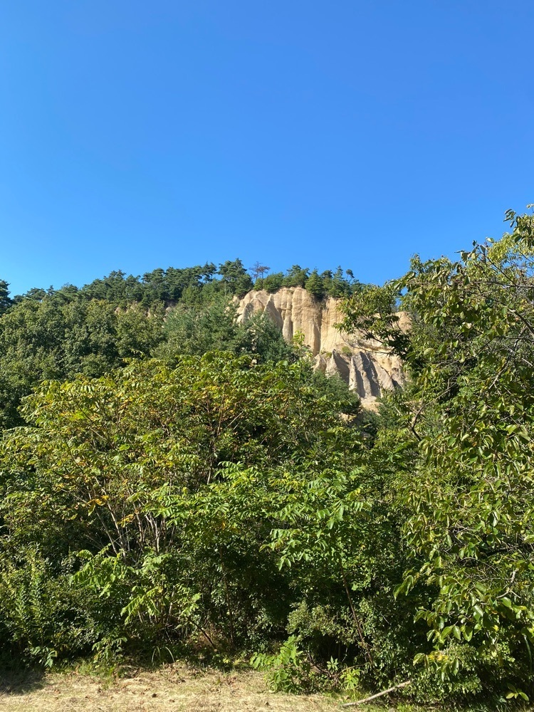 かよこさんが投稿した松茸山 松茸料理 あぜみち山荘に関する口コミの画像