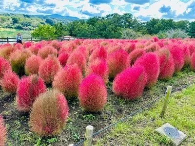 大分農業文化公園