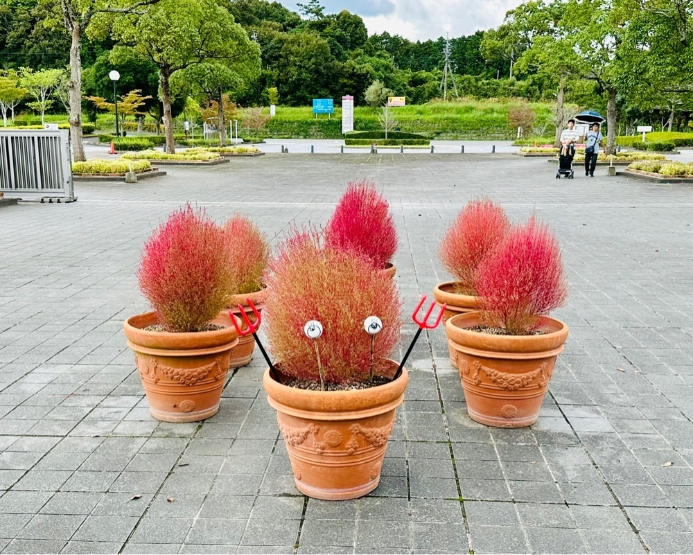 sanaebabyさんが投稿した大分農業文化公園に関する口コミの画像