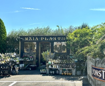 パティスリー アンジェココ(PATISSERIE Ange CoCo) 5枚目